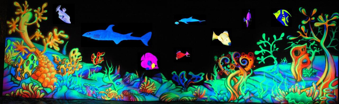 magicfluo