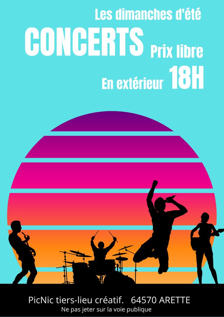 concerts picnic 1