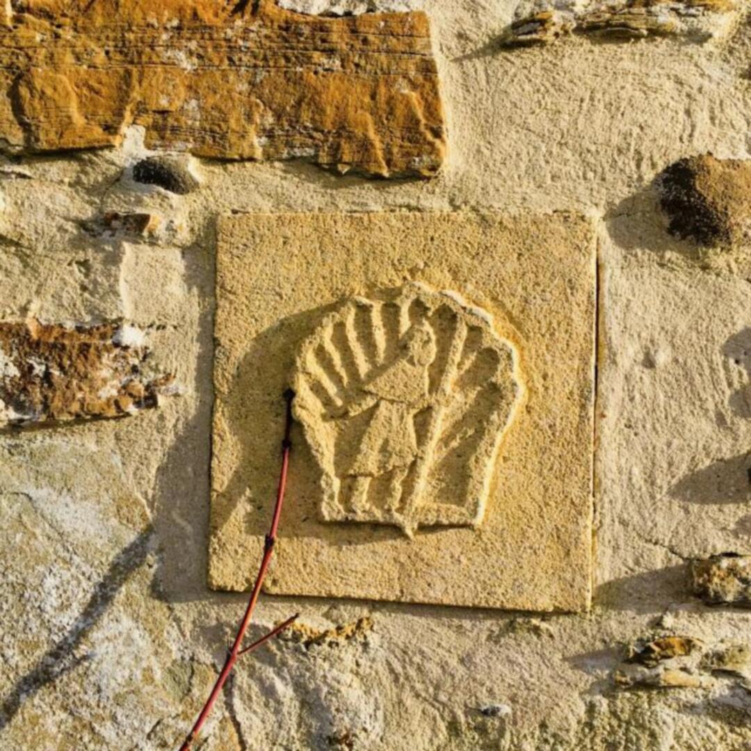 Coquille St Jacques de Compostelle