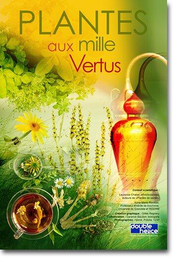 exposition-plantes