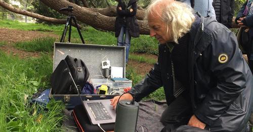 Festival musique des plantes