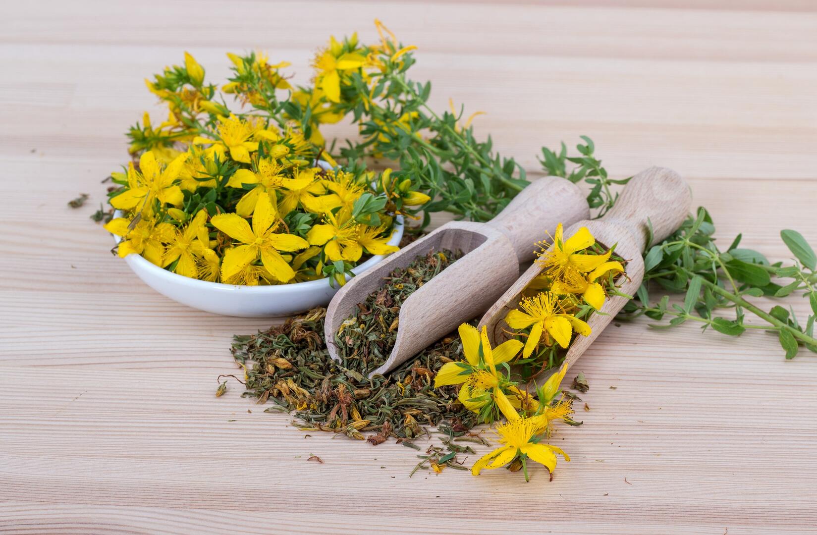saint-johns-wort-gf6d292353_1920