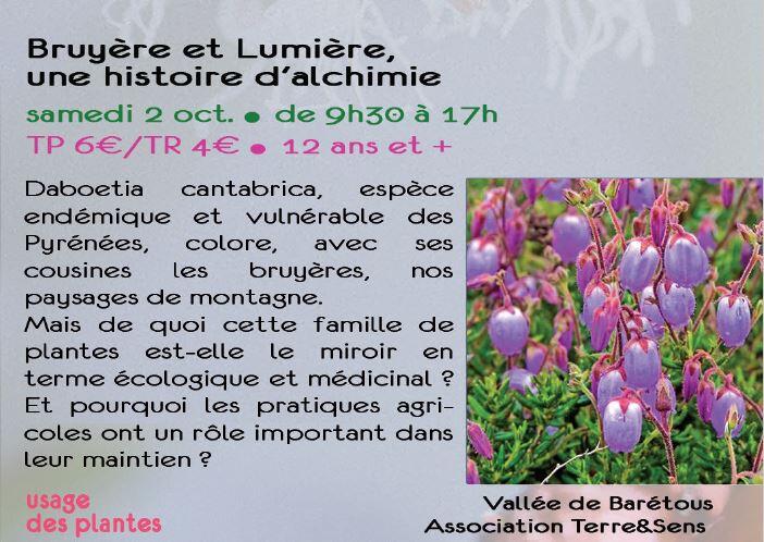 sortie cpie plantes