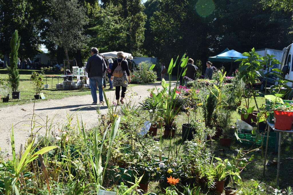 --Marie-FERNANDES---CASTETS---Automne-au-Jardin-2017-CLNT--62-