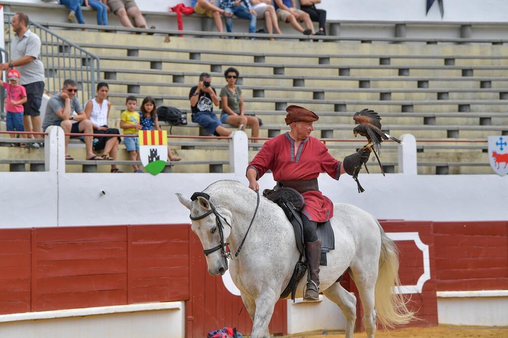 Arènes St Sever Vasconiales