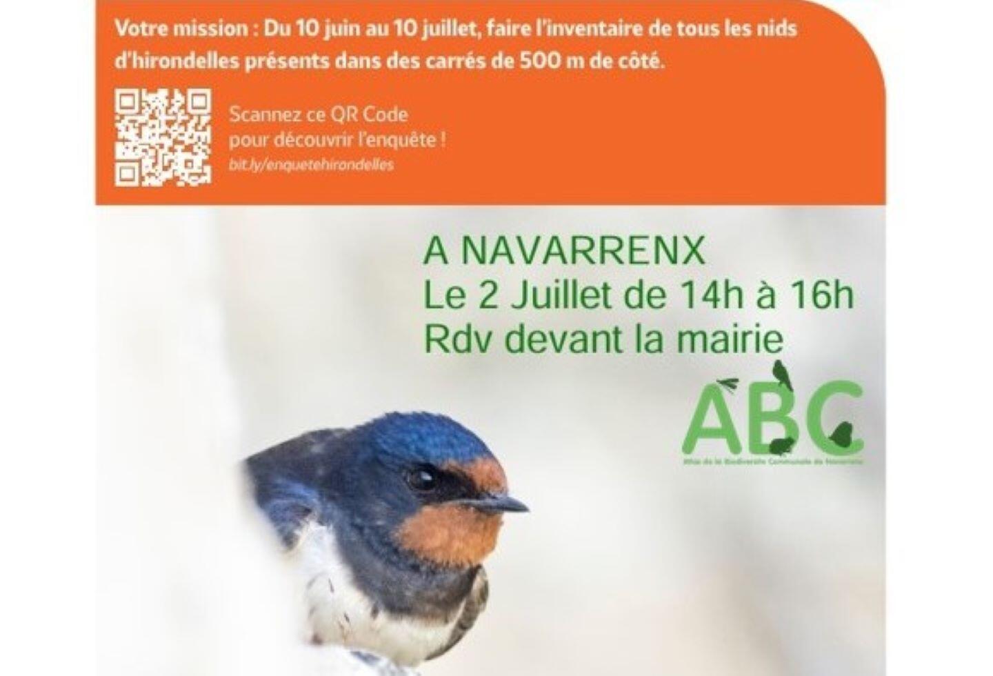 2025-06_ABC_Enquete_hirondelle2