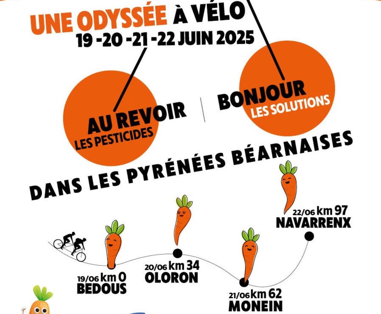 Le tour des carottes
