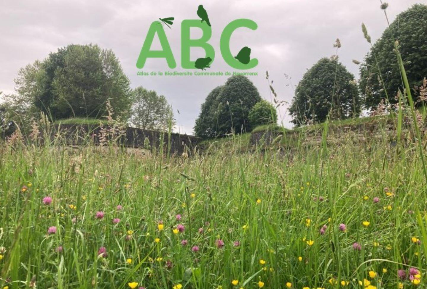 2025-08_ABC_biodiv2