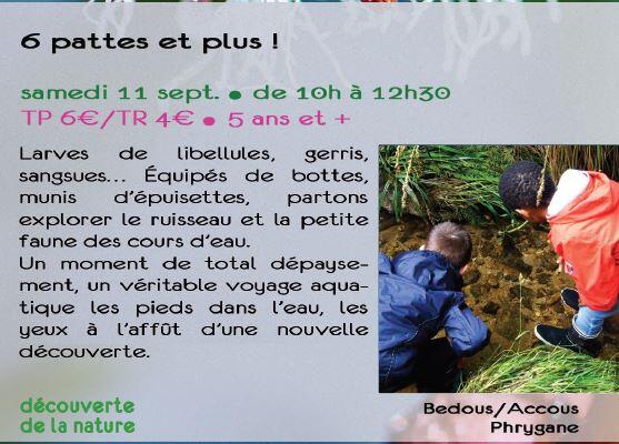 CPIE6PATTES
