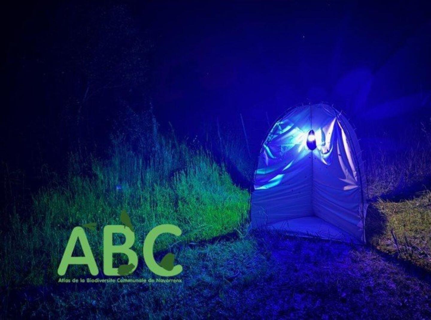Prospection Papillon Nocturnes