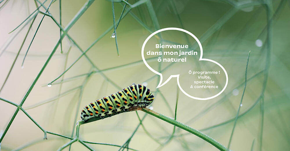 Bienvenue dans mon jardin ô naturel