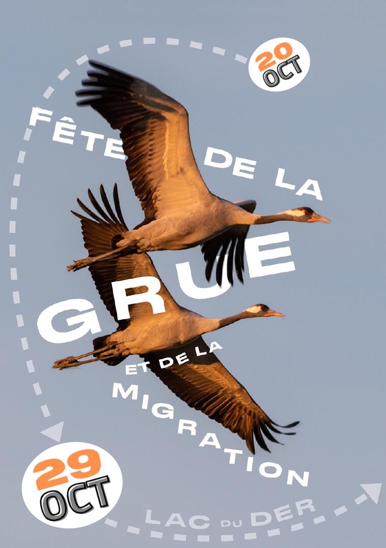 FDG 2023