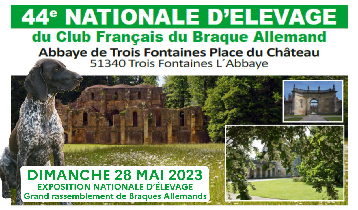 Club Français du Braque Allemand