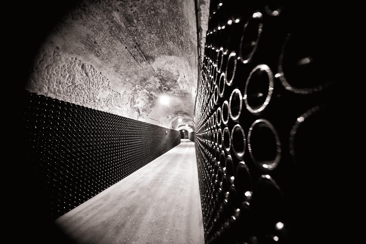 CELLARS