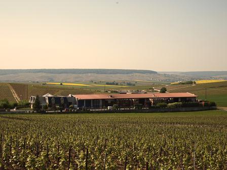 Champagne Bonnaire - Cramant