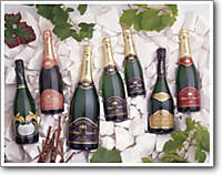 Champagne Feneuil Pointillart - Chamery