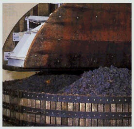 Champagne R. Gabriel-Pagin Fils - Avenay-Val d'Or