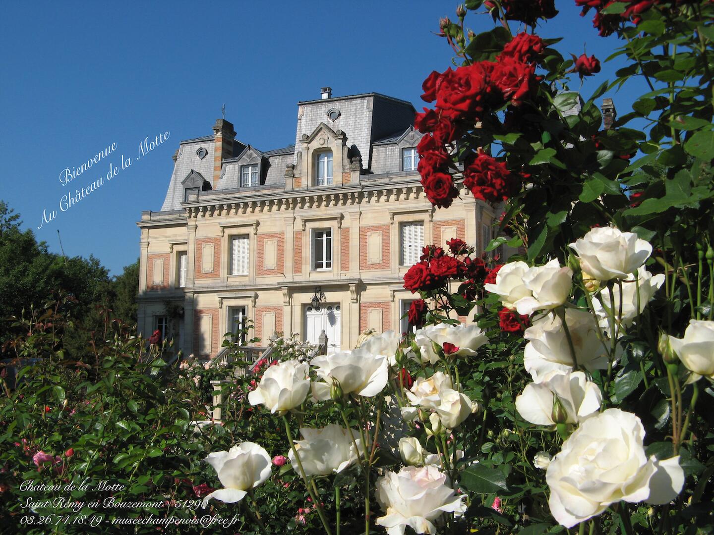 Château de la Motte©Mme Lepicier
