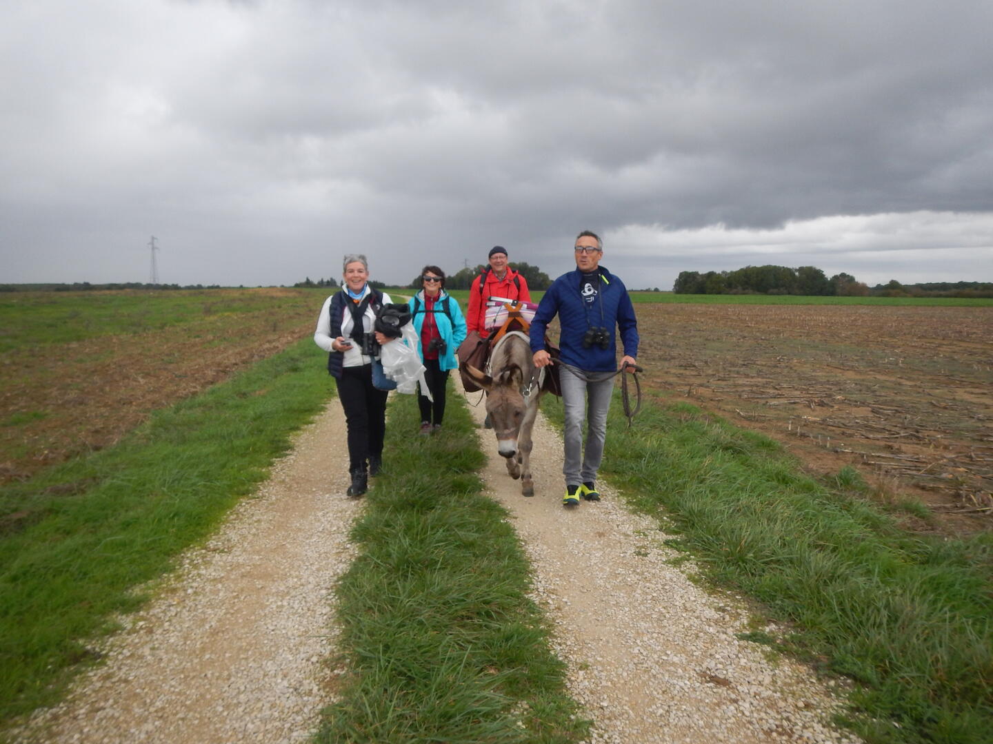 Randonnée avec un âne
