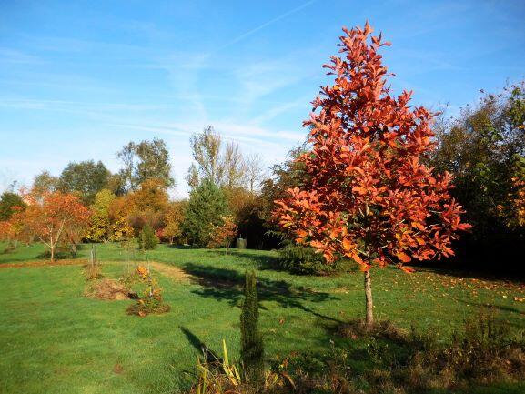Jardin de L'Eau Vive