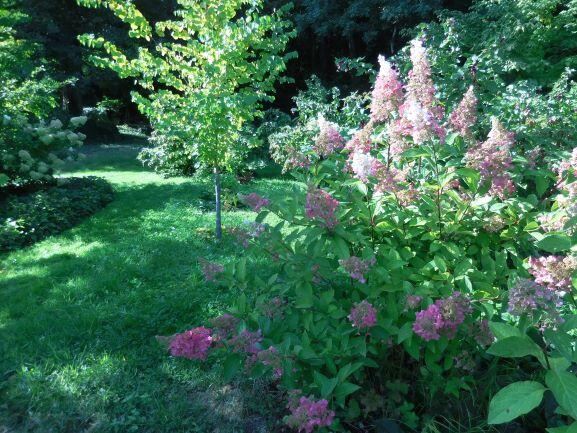Jardin de L'Eau Vive