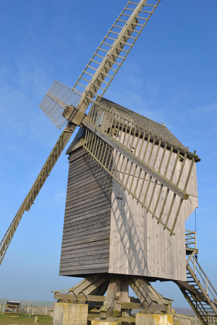 DSC_1652