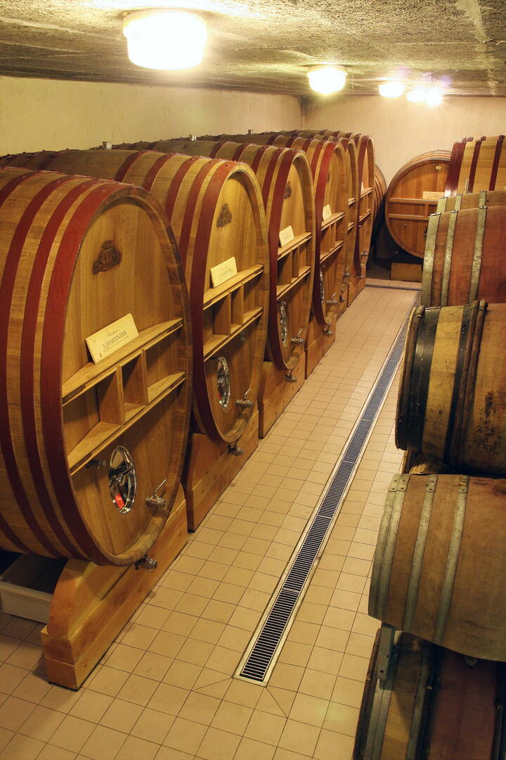 Foudres-4