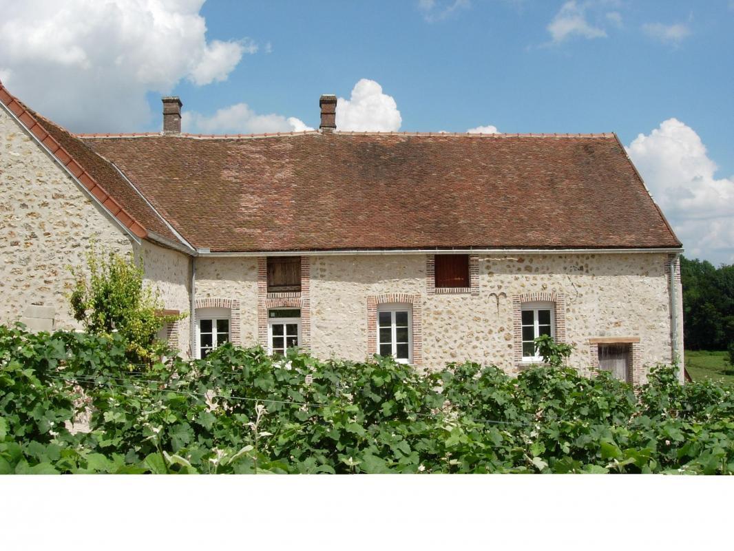 GÎTE DES VIGNES