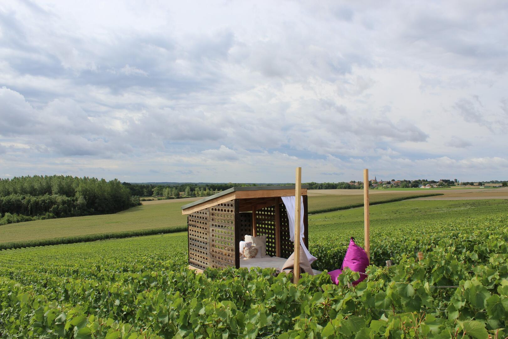 LE LIT DE VIGNES