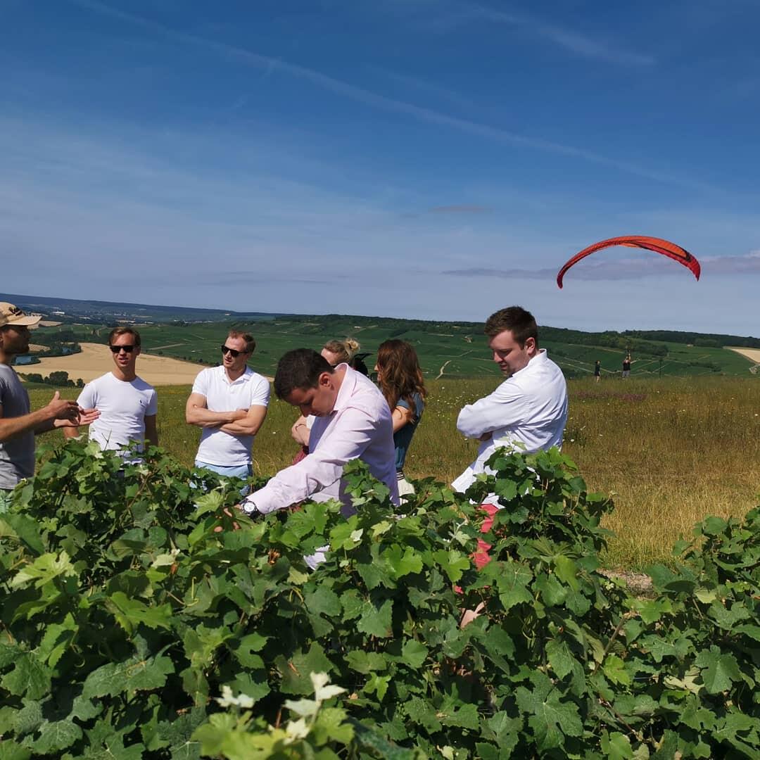 Escapade dans le vignoble