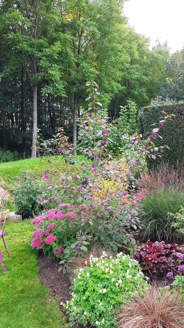 Jardin de la Livre(2)- Fontaine sur AY