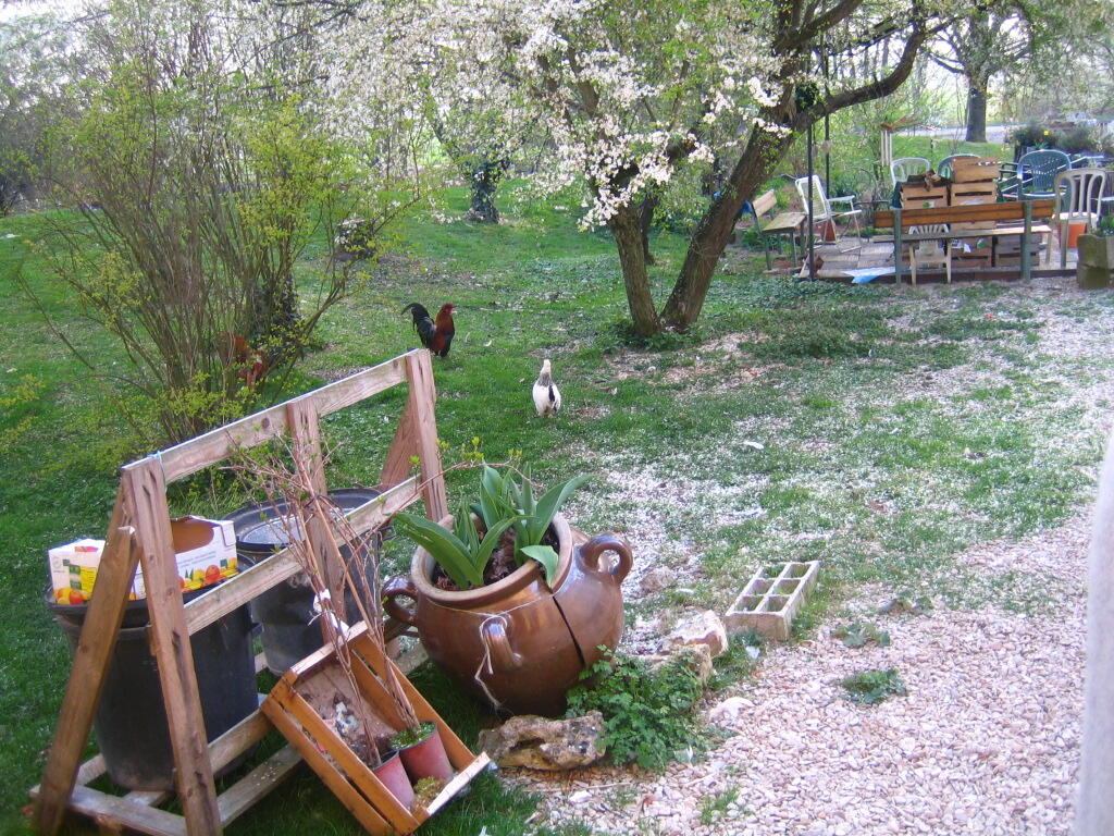 L'Achillée - Sarry