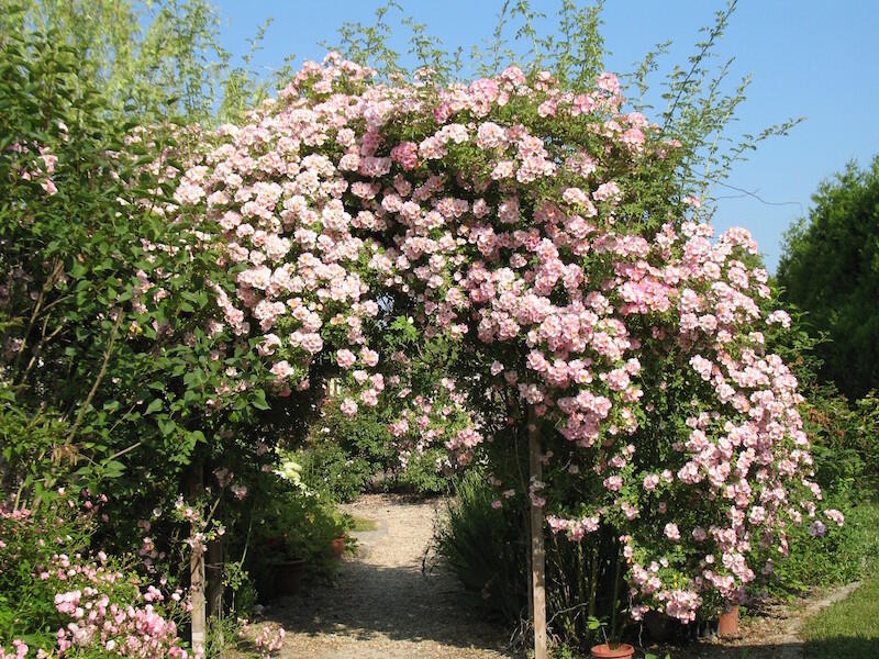 Le Parc Fleuri-Marson