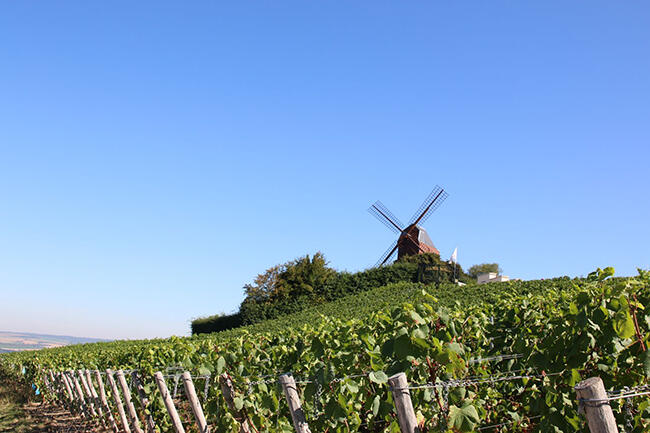 Le-moulin-de-verzenay-