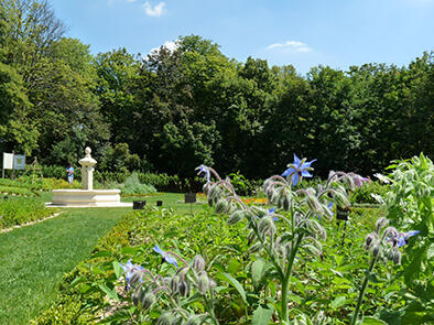 Le Jardin de Simples 1