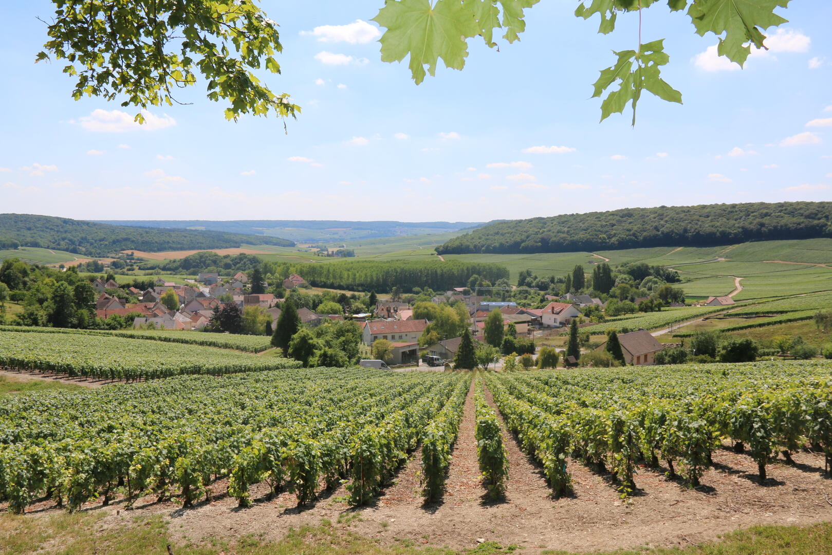 Panorama de Cormoyeux V&D