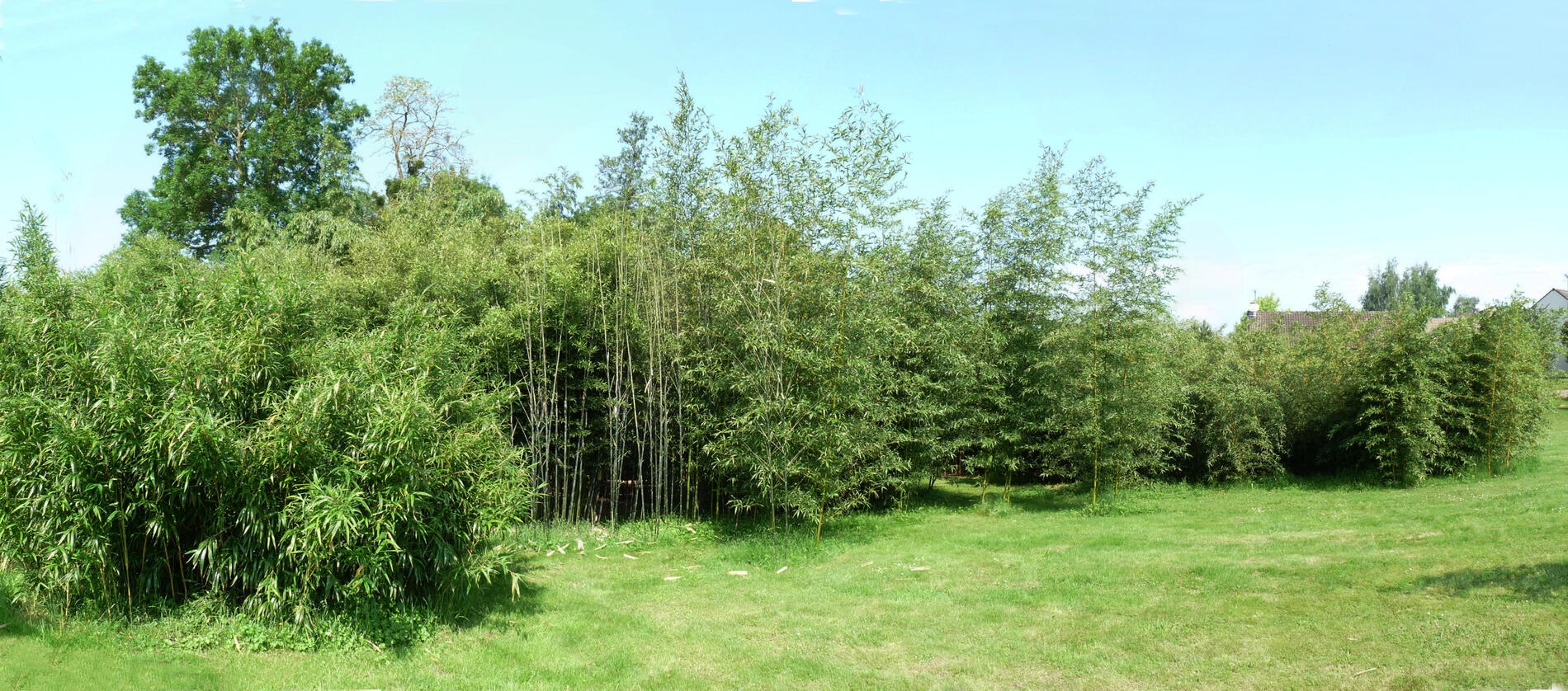Vue d'ensemble