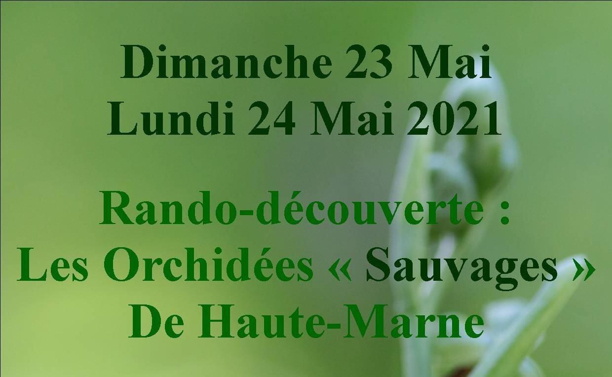 Didier du Val Orchidées