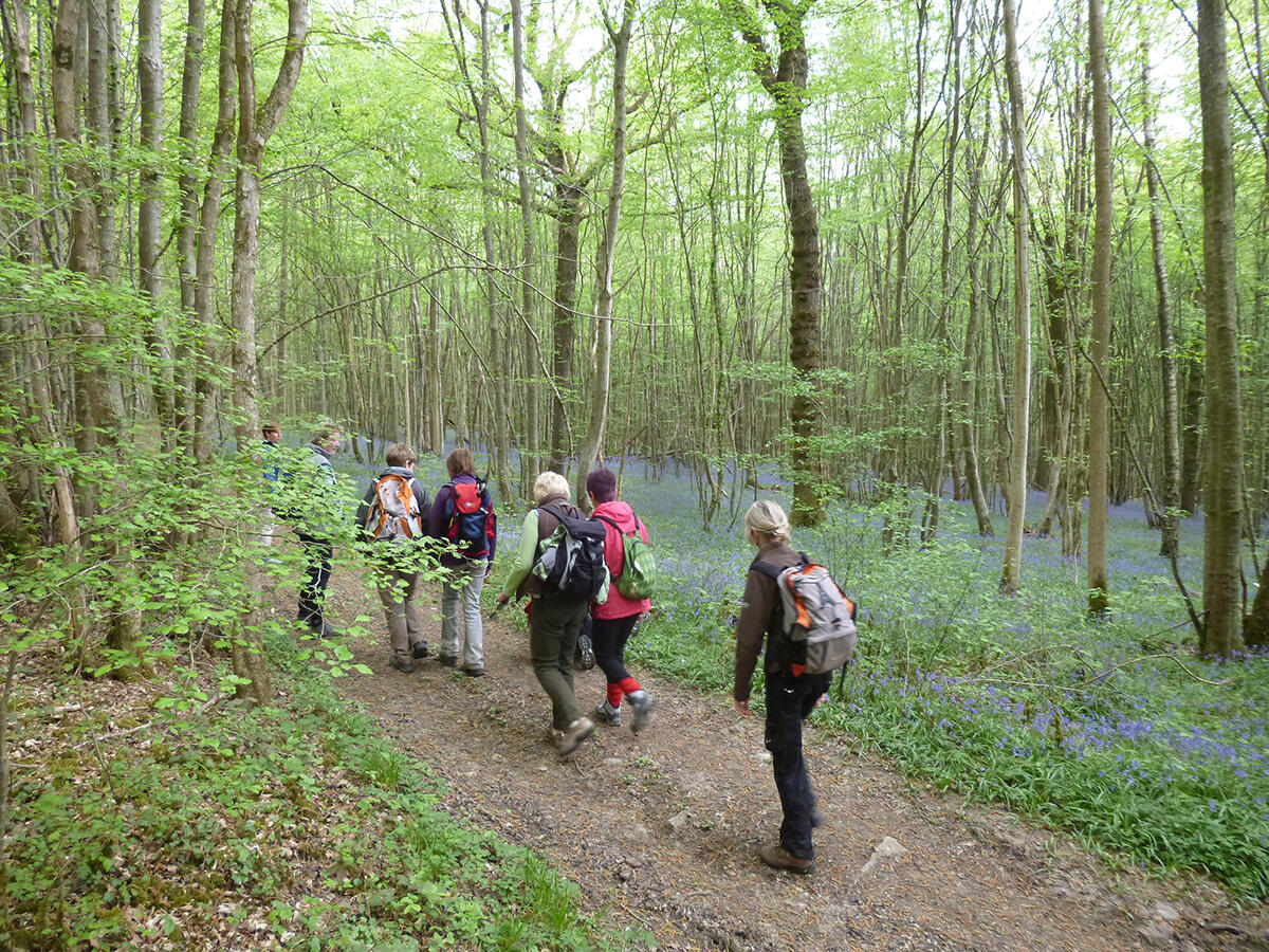 Randonnee annuelle-Les Amis de la Nature-Châlons en Champagne