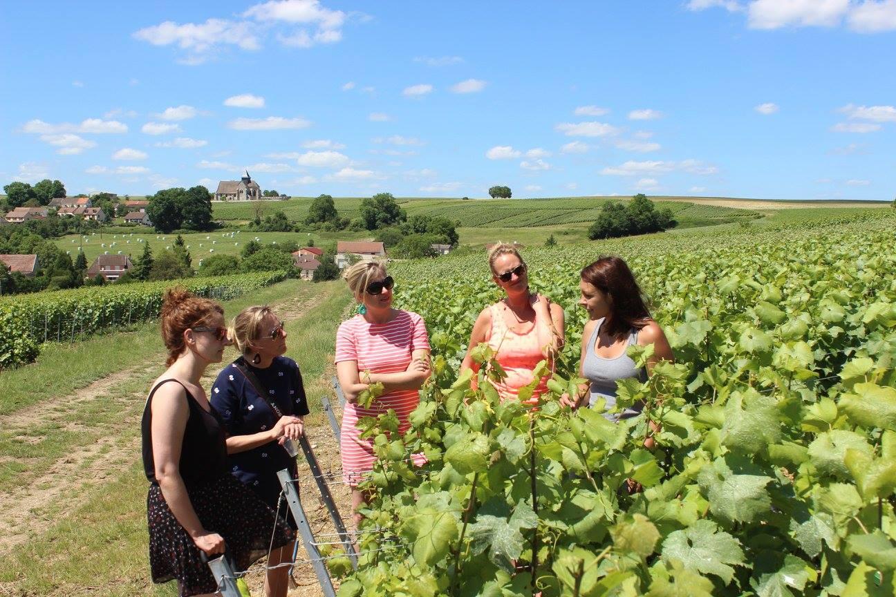 Sensations-vigneronnes