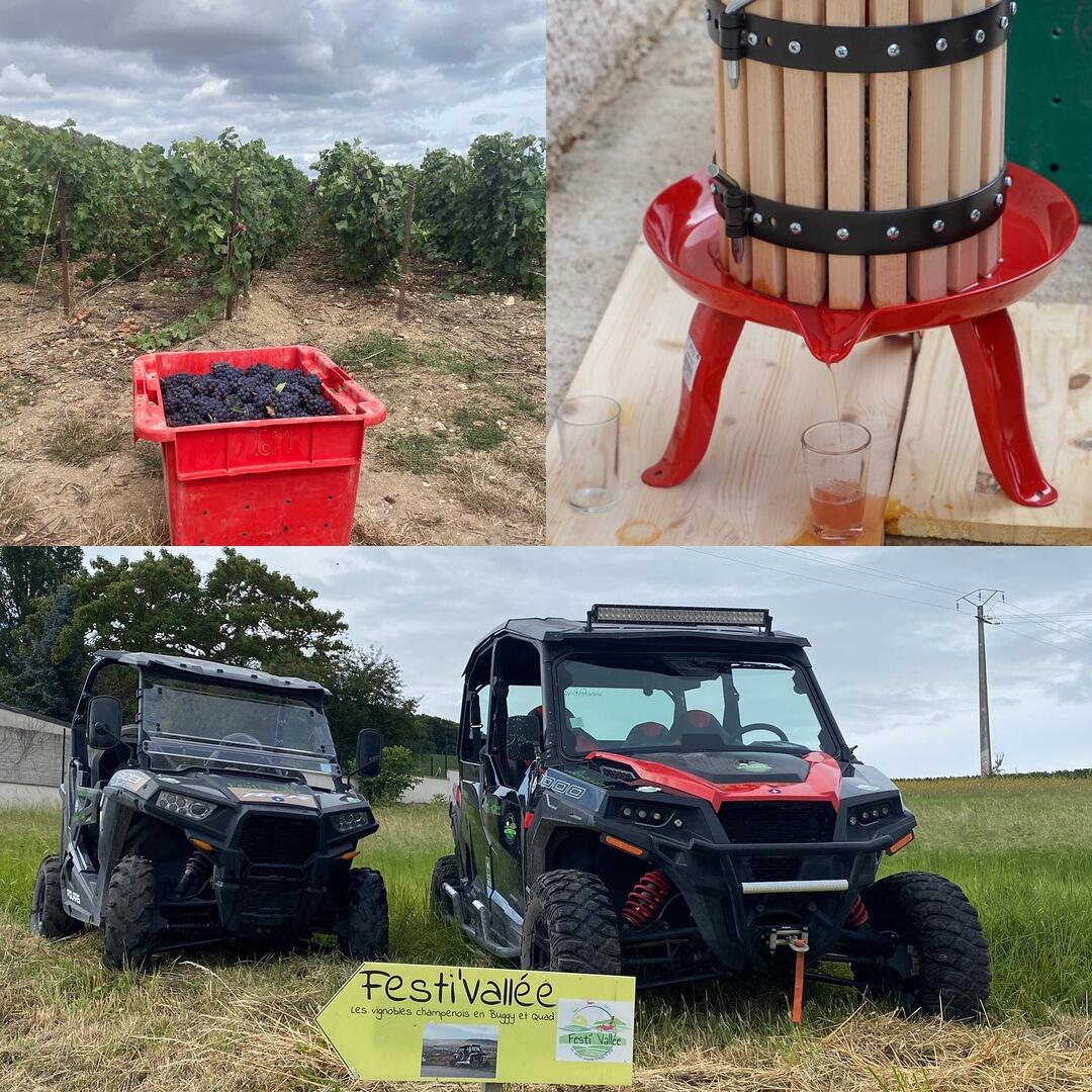 Spéciale Vendanges Festi'vallée