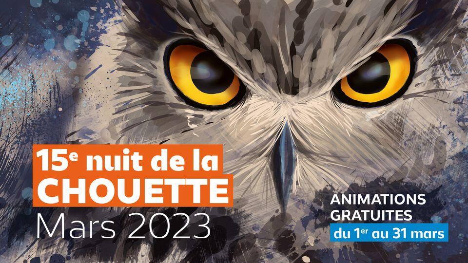 nuit de la chouette