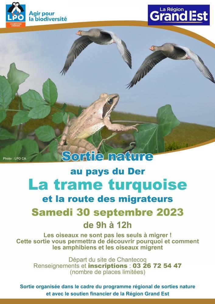 affiche_sortie-tt-lac_du_der2 (002)