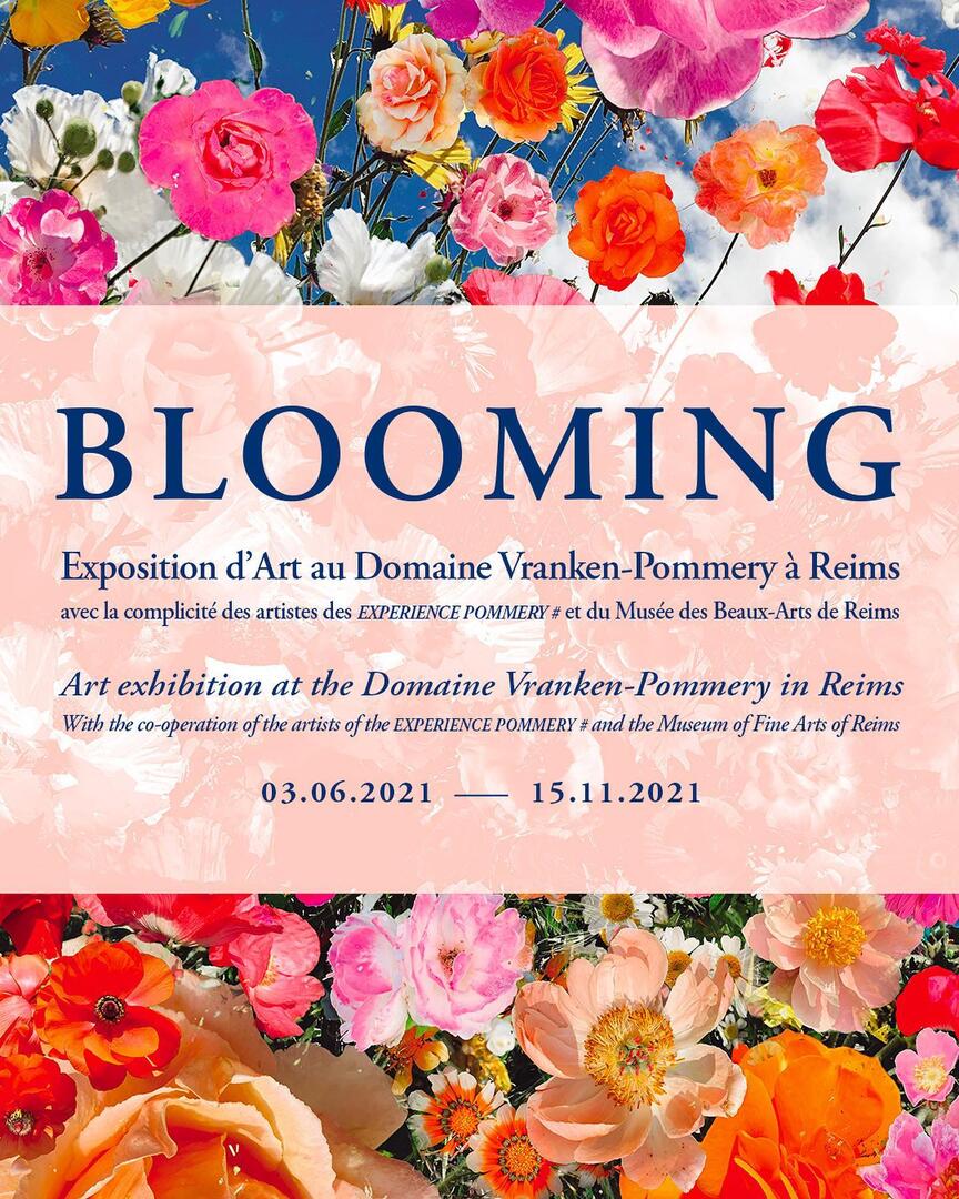blooming