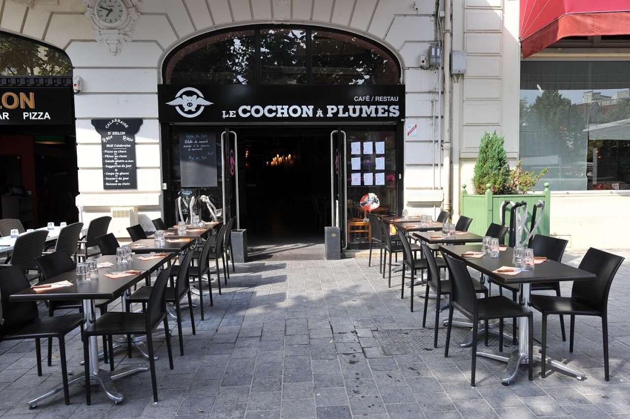 Le cochon à plume