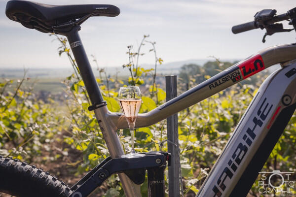 du-vlo-des-vignes-et-des-bulles-journe-dgustation--1
