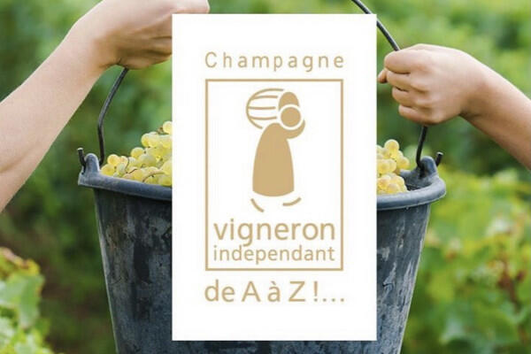 devenez-vendangeur-dun-jour-au-champagne-pierre-pinard-36b73