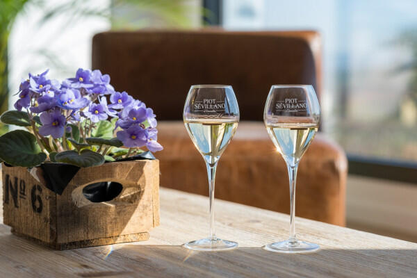 dgustations-sans-visite-champagne-piot-sevillano-1