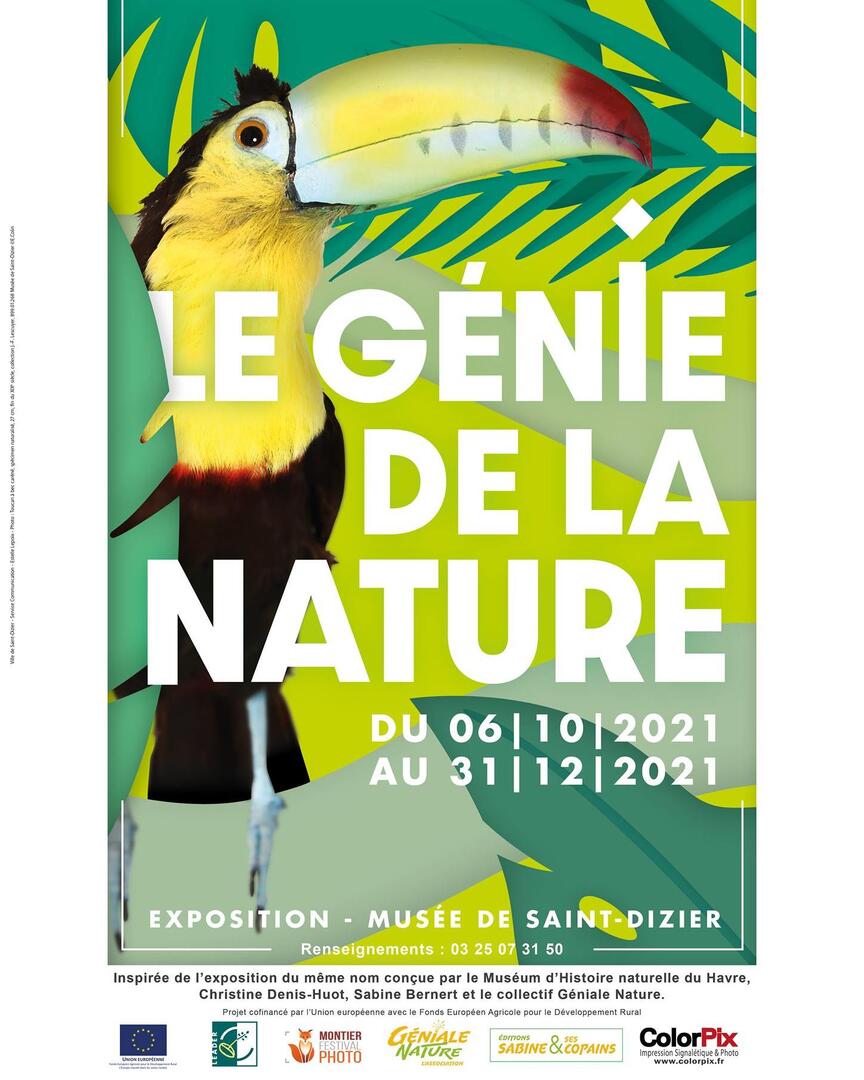 expo musée saint-dizier