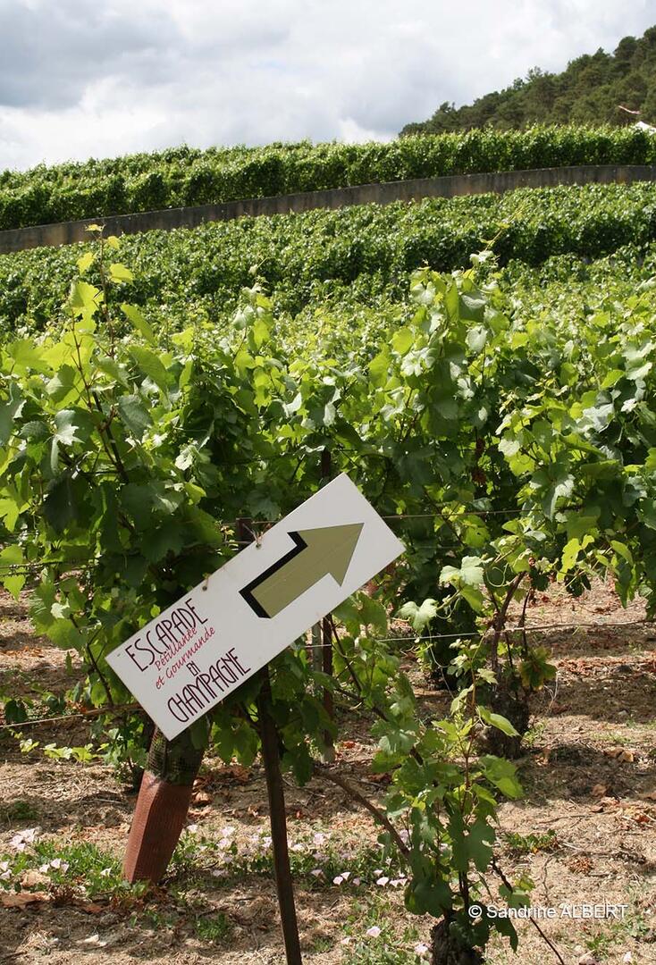 Escapade pétillante et gourmande en Champagne